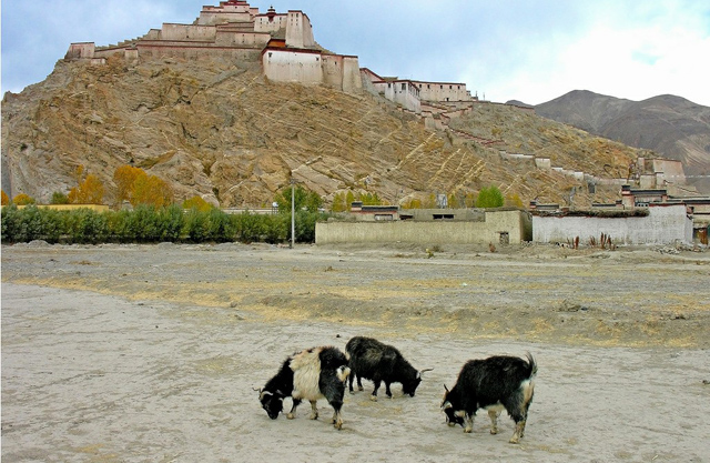 西藏历史与宗教