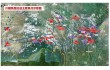 Sichuan-Tibet-Railway-01