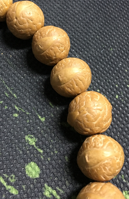凤眼菩提